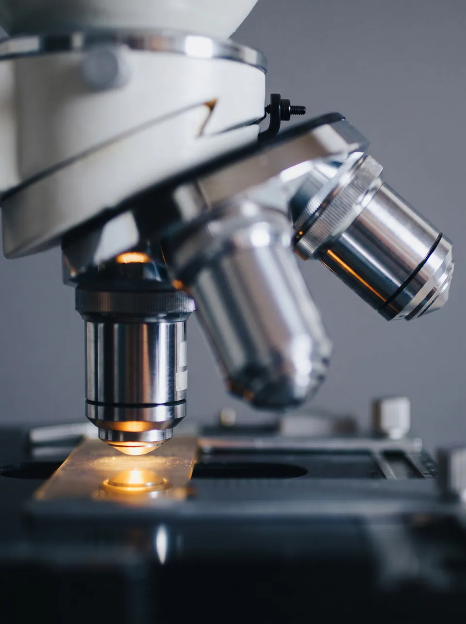 Close view of a laboratory microscope's objective lenses above an illuminated slide