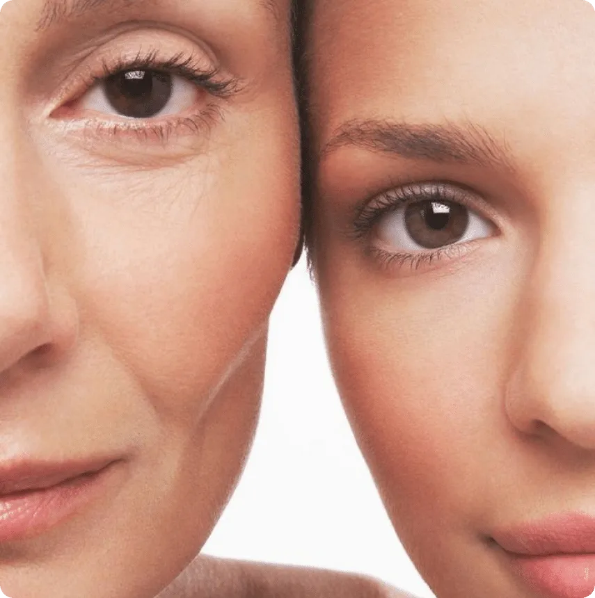 Understanding Ageing: The 10 Key Features and How We Address Them